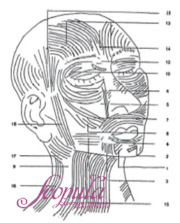 IM-9001 3.jpg